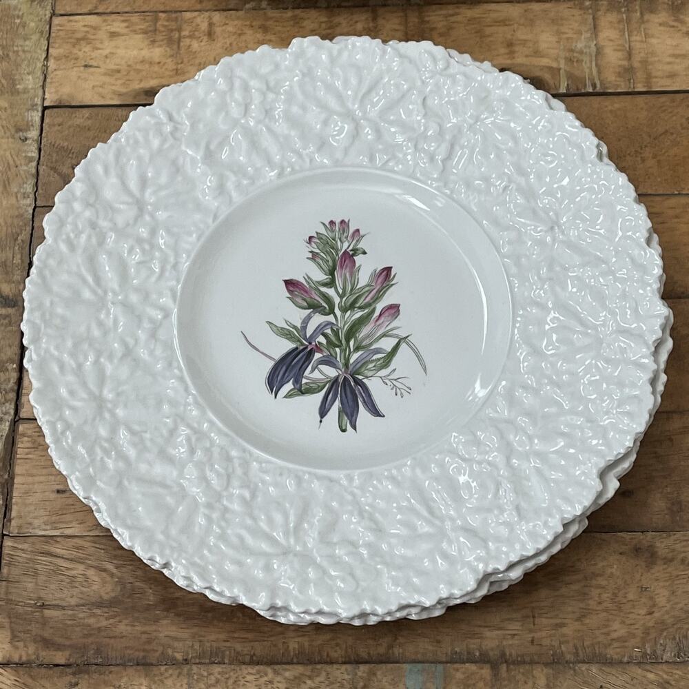 Royal Cauldon England Bristol Ironstone Plates set of 8 Woodstock Collection